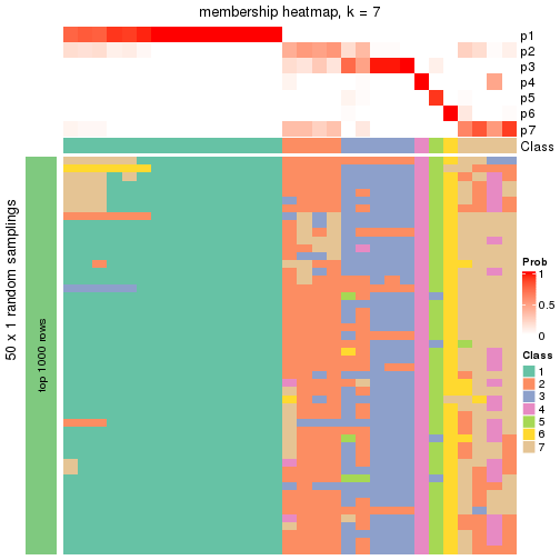 plot of chunk tab-node-013-membership-heatmap-6