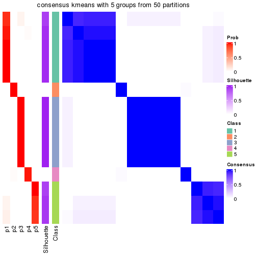 plot of chunk tab-node-0131-consensus-heatmap-4