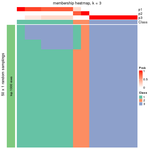 plot of chunk tab-node-0131-membership-heatmap-2