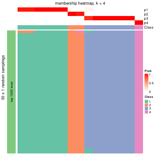 plot of chunk tab-node-0131-membership-heatmap-3