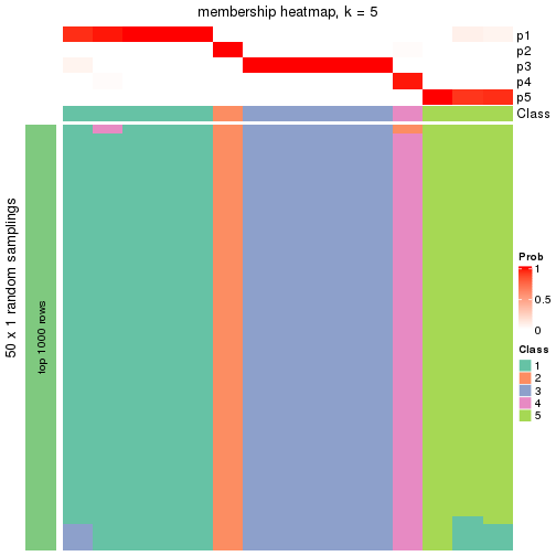 plot of chunk tab-node-0131-membership-heatmap-4