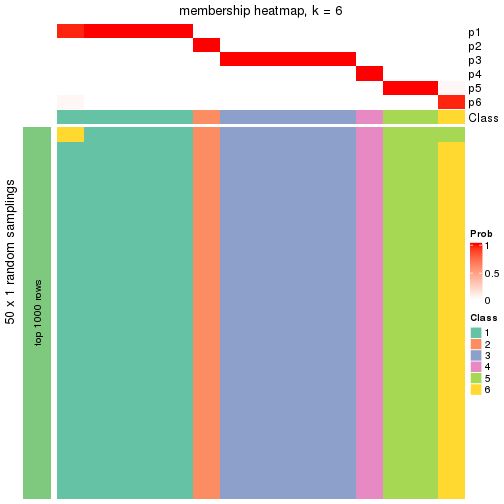 plot of chunk tab-node-0131-membership-heatmap-5