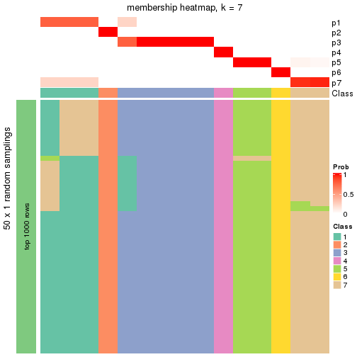 plot of chunk tab-node-0131-membership-heatmap-6