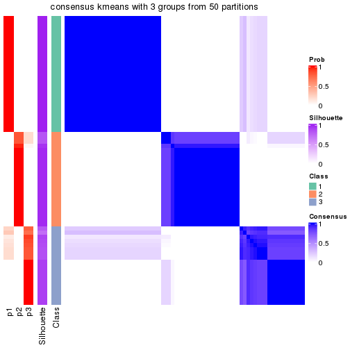 plot of chunk tab-node-02-consensus-heatmap-2