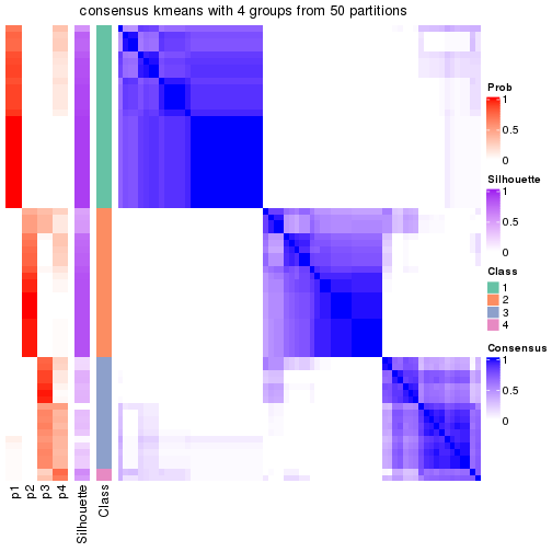 plot of chunk tab-node-02-consensus-heatmap-3