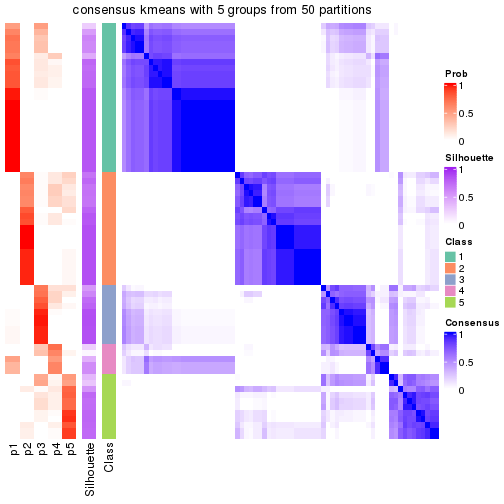 plot of chunk tab-node-02-consensus-heatmap-4