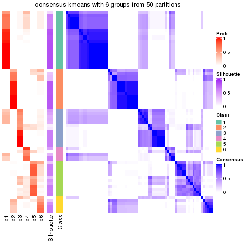 plot of chunk tab-node-02-consensus-heatmap-5