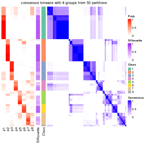 plot of chunk tab-node-02-consensus-heatmap-7