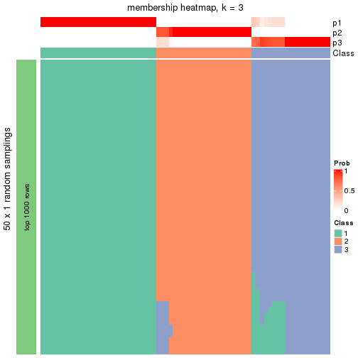 plot of chunk tab-node-02-membership-heatmap-2