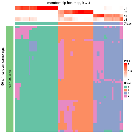 plot of chunk tab-node-02-membership-heatmap-3