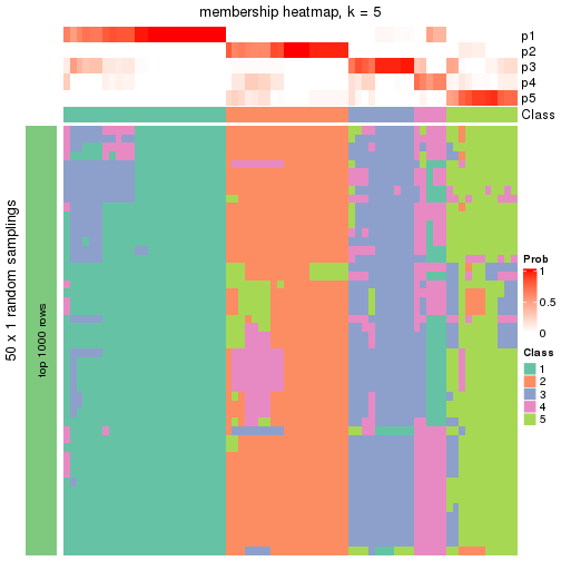 plot of chunk tab-node-02-membership-heatmap-4