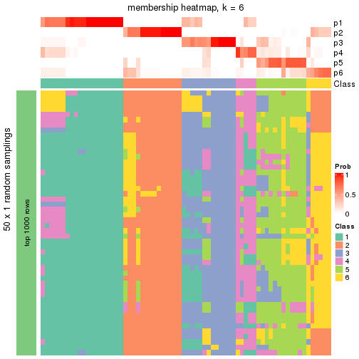 plot of chunk tab-node-02-membership-heatmap-5