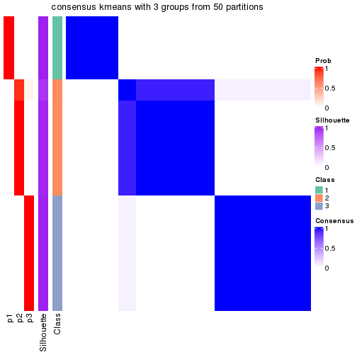 plot of chunk tab-node-021-consensus-heatmap-2