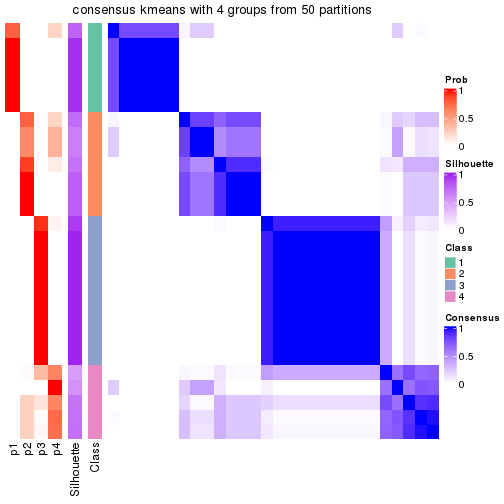 plot of chunk tab-node-021-consensus-heatmap-3