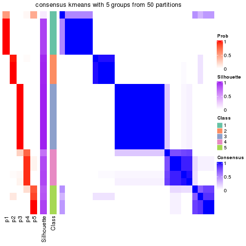 plot of chunk tab-node-021-consensus-heatmap-4