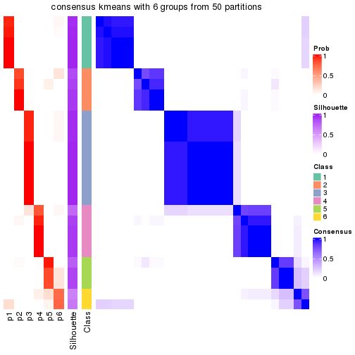 plot of chunk tab-node-021-consensus-heatmap-5