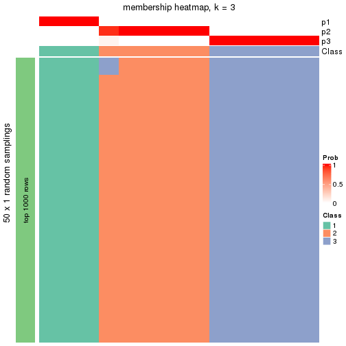 plot of chunk tab-node-021-membership-heatmap-2