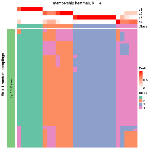 plot of chunk tab-node-021-membership-heatmap-3