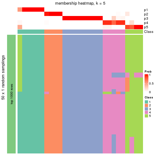 plot of chunk tab-node-021-membership-heatmap-4