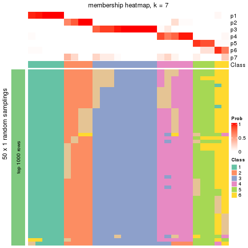 plot of chunk tab-node-021-membership-heatmap-6