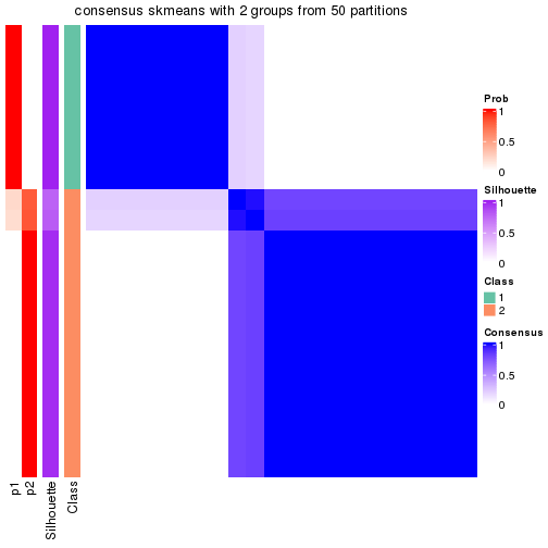 plot of chunk tab-node-0212-consensus-heatmap-1