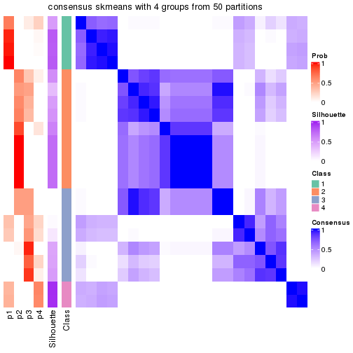 plot of chunk tab-node-0212-consensus-heatmap-3