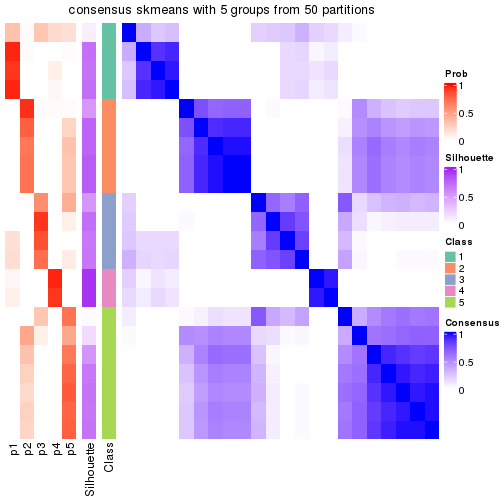 plot of chunk tab-node-0212-consensus-heatmap-4