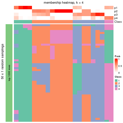 plot of chunk tab-node-0212-membership-heatmap-3