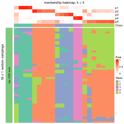 plot of chunk tab-node-0212-membership-heatmap-4