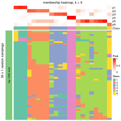 plot of chunk tab-node-0212-membership-heatmap-5