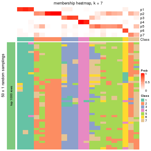 plot of chunk tab-node-0212-membership-heatmap-6