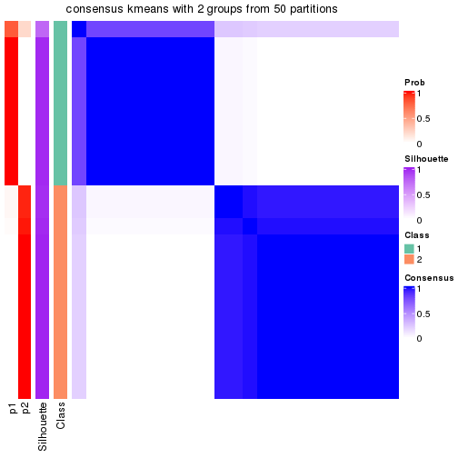 plot of chunk tab-node-022-consensus-heatmap-1