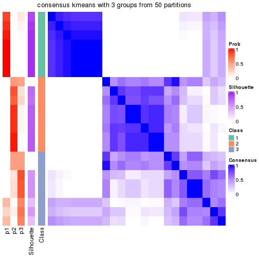 plot of chunk tab-node-022-consensus-heatmap-2