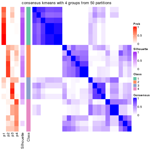 plot of chunk tab-node-022-consensus-heatmap-3