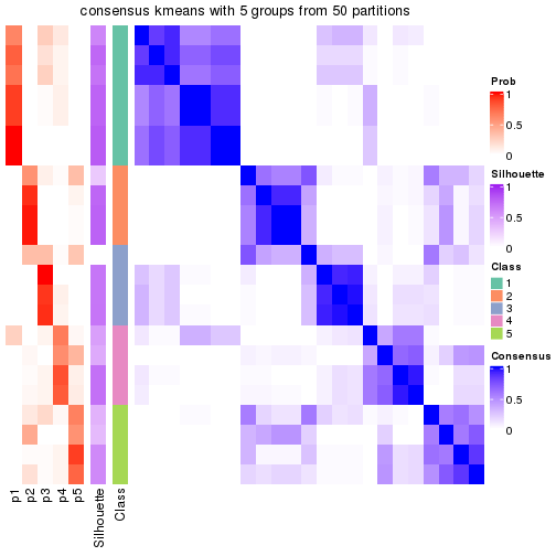 plot of chunk tab-node-022-consensus-heatmap-4