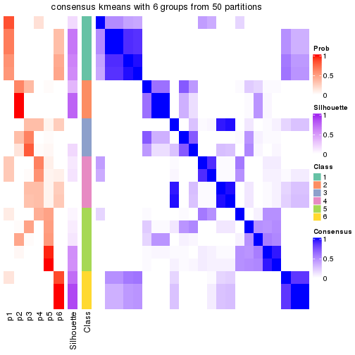 plot of chunk tab-node-022-consensus-heatmap-5