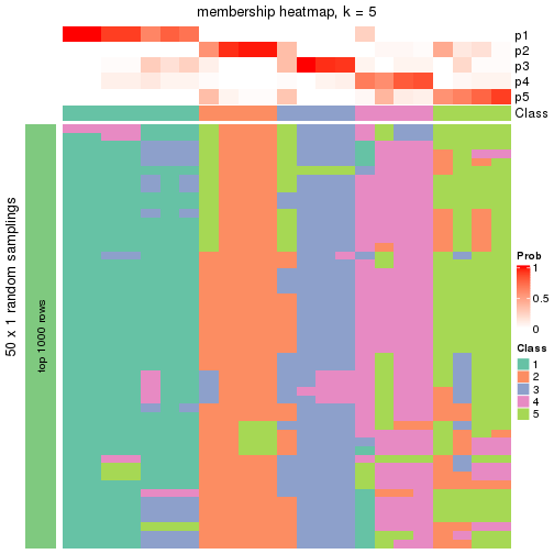 plot of chunk tab-node-022-membership-heatmap-4