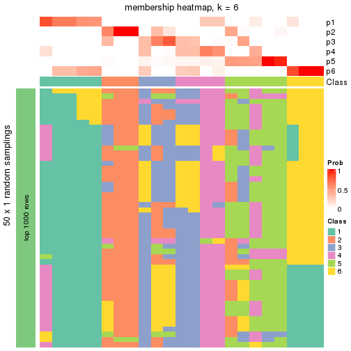 plot of chunk tab-node-022-membership-heatmap-5