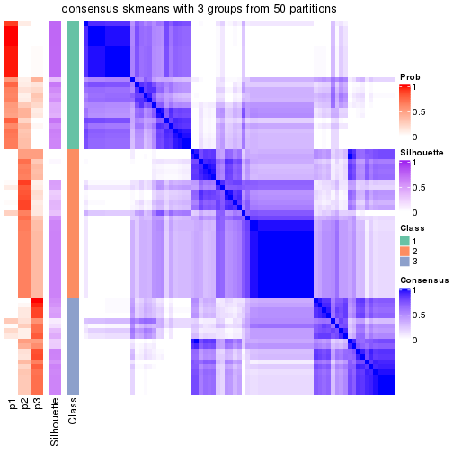 plot of chunk tab-node-03-consensus-heatmap-2