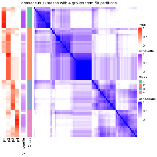 plot of chunk tab-node-03-consensus-heatmap-3