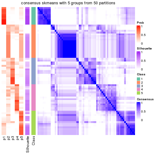 plot of chunk tab-node-03-consensus-heatmap-4