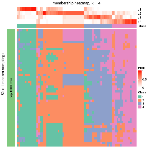 plot of chunk tab-node-03-membership-heatmap-3