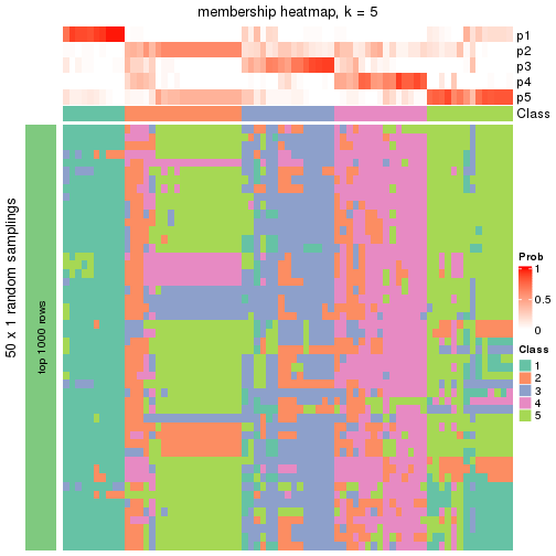 plot of chunk tab-node-03-membership-heatmap-4