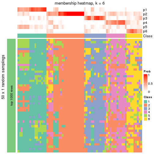 plot of chunk tab-node-03-membership-heatmap-5