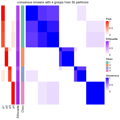 plot of chunk tab-node-031-consensus-heatmap-3