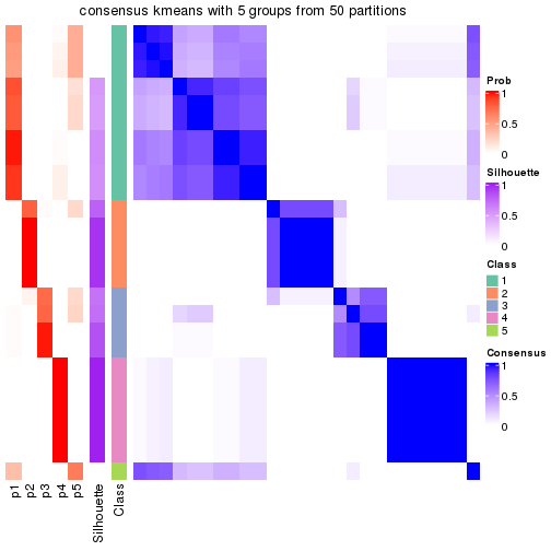 plot of chunk tab-node-031-consensus-heatmap-4