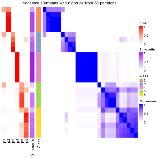 plot of chunk tab-node-031-consensus-heatmap-5