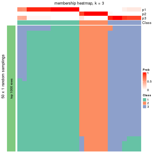 plot of chunk tab-node-031-membership-heatmap-2