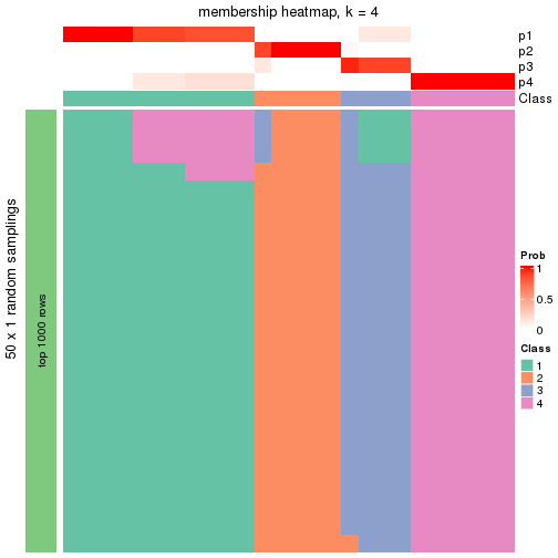 plot of chunk tab-node-031-membership-heatmap-3