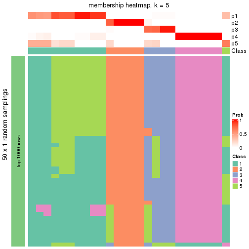 plot of chunk tab-node-031-membership-heatmap-4